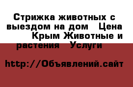 Стрижка животных с выездом на дом › Цена ­ 800 - Крым Животные и растения » Услуги   